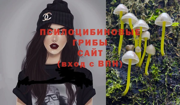 mdpv Кукмор