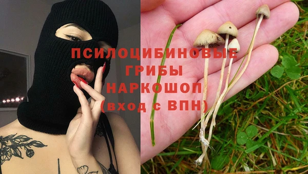 mdpv Кукмор