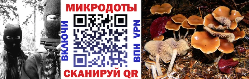 Галлюциногенные грибы GOLDEN TEACHER  Купить закладки  Нижняя Салда 